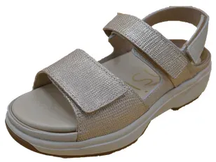 Aruba_Champagne