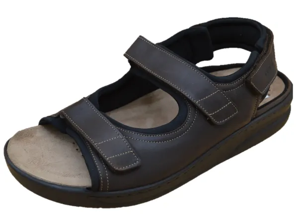 Valden_Brown