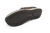 Leopard_Brown_Moro_1