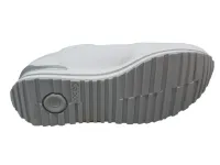 Wit_Zilver_5