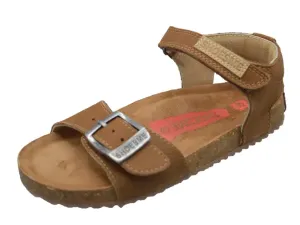 Brown_2