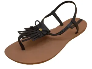 Brown_4