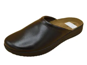 Brown_5
