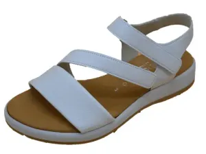 Cervo_Weiss_1