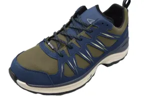 Innox_EVO_II_GTX_Navy_Olive