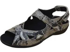 Taupe_Python