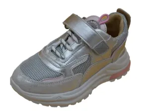 Trainer_Silver