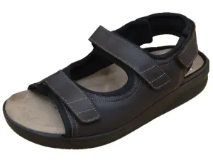 Valden_Brown